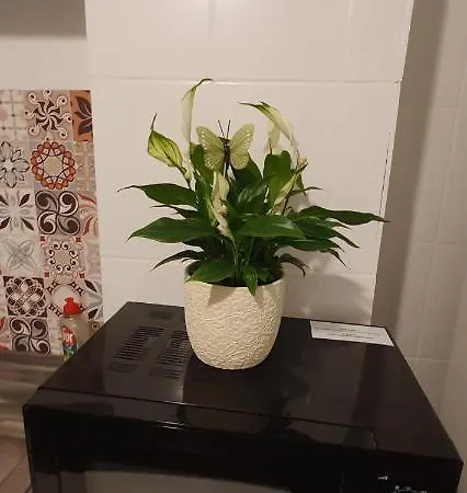 Stay Inn Apartments * Bucharest