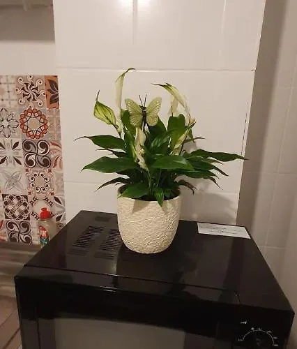 Stay Inn Apartments * Bukarest